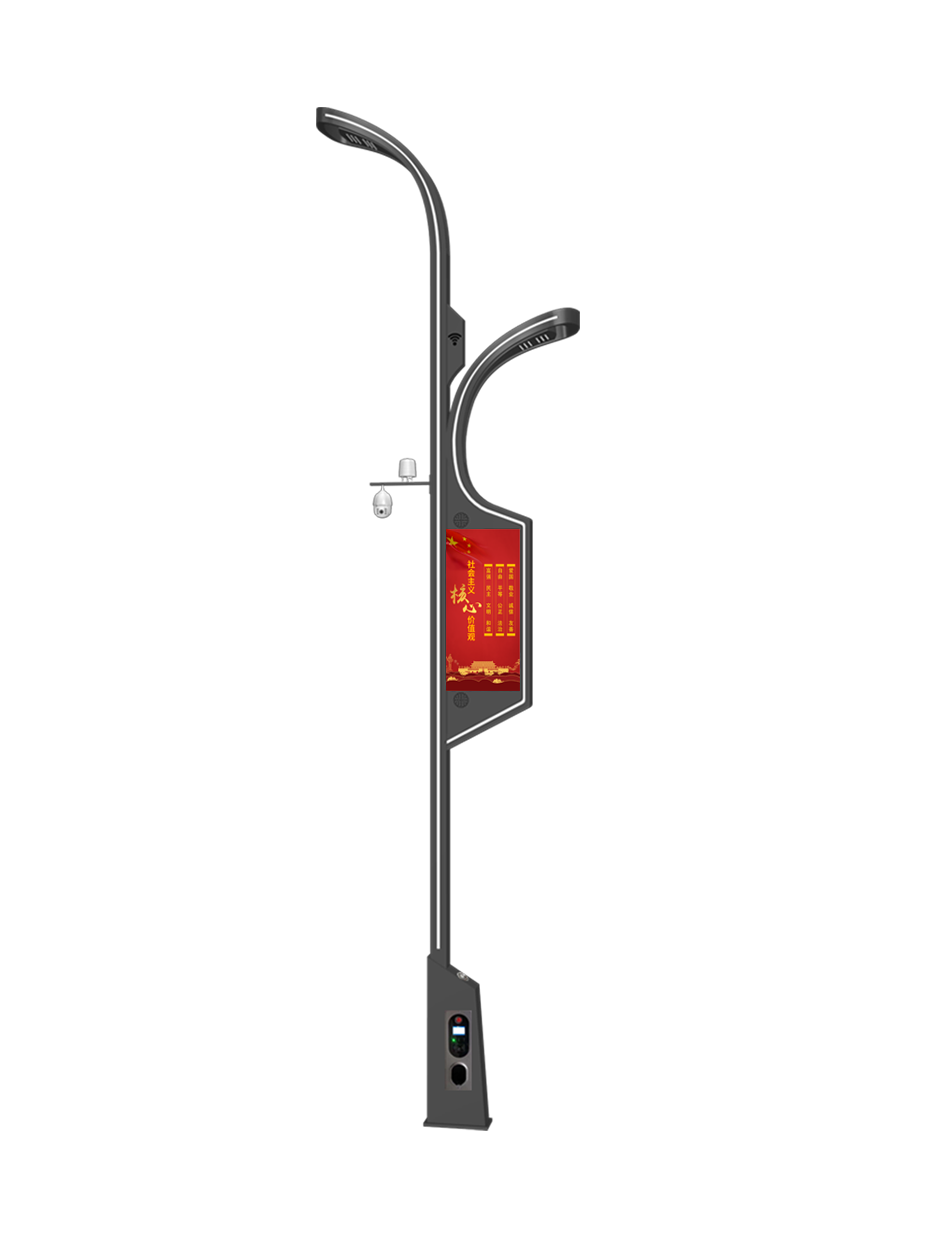 银杏智光 智慧路灯